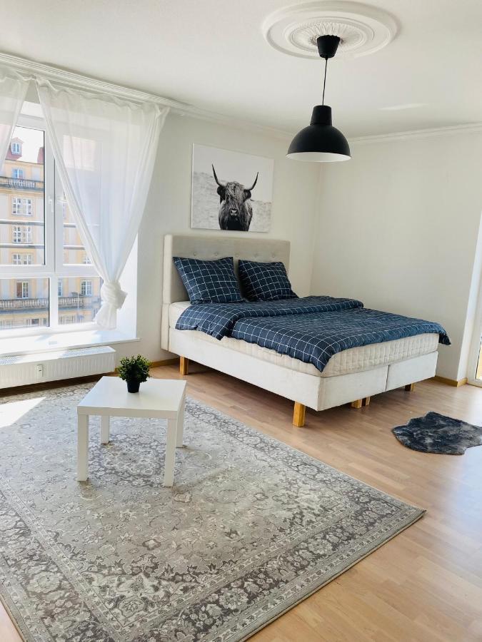 Luxury 3-Room Apartment دريسدن المظهر الخارجي الصورة