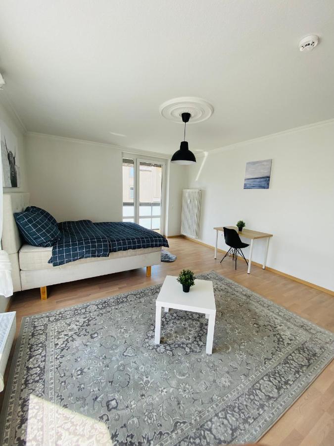 Luxury 3-Room Apartment دريسدن المظهر الخارجي الصورة